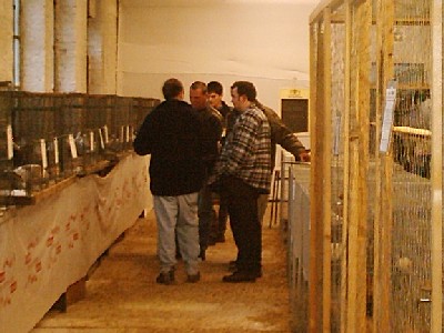 bilder/gfz_02.jpg