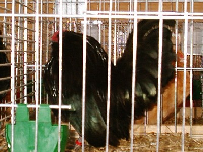 bilder/gfz_03.jpg