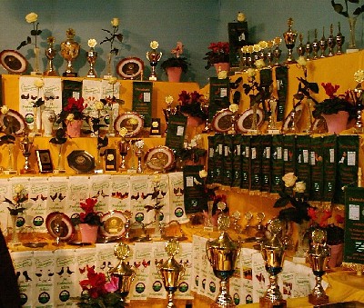 bilder/gfz_04.jpg